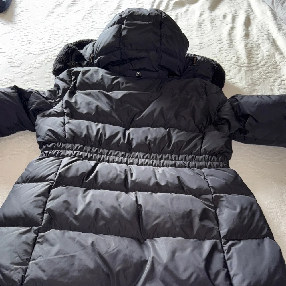 EUC Women's Black Puffer Down Coat trimmed removable hood Waist Defined by Coach
